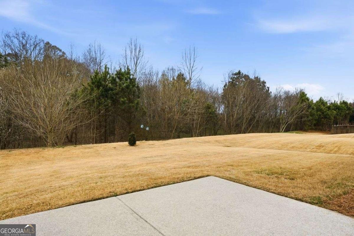 110 Wood Hollow Drive Woodstock - Photo 32