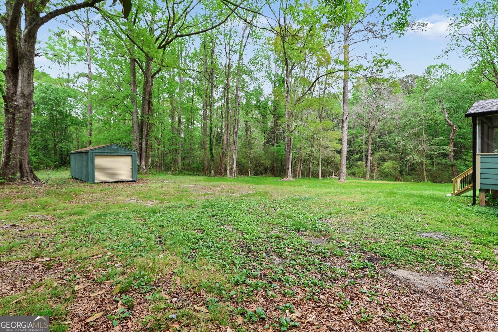 179 George Revell Street Senoia - Photo 28