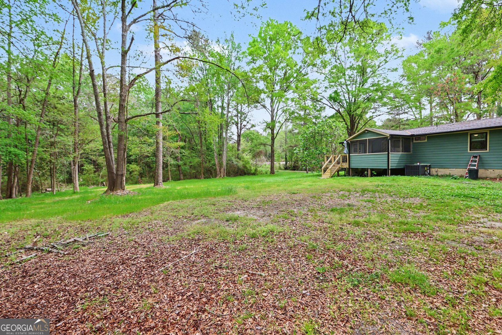 179 George Revell Street Senoia - Photo 29