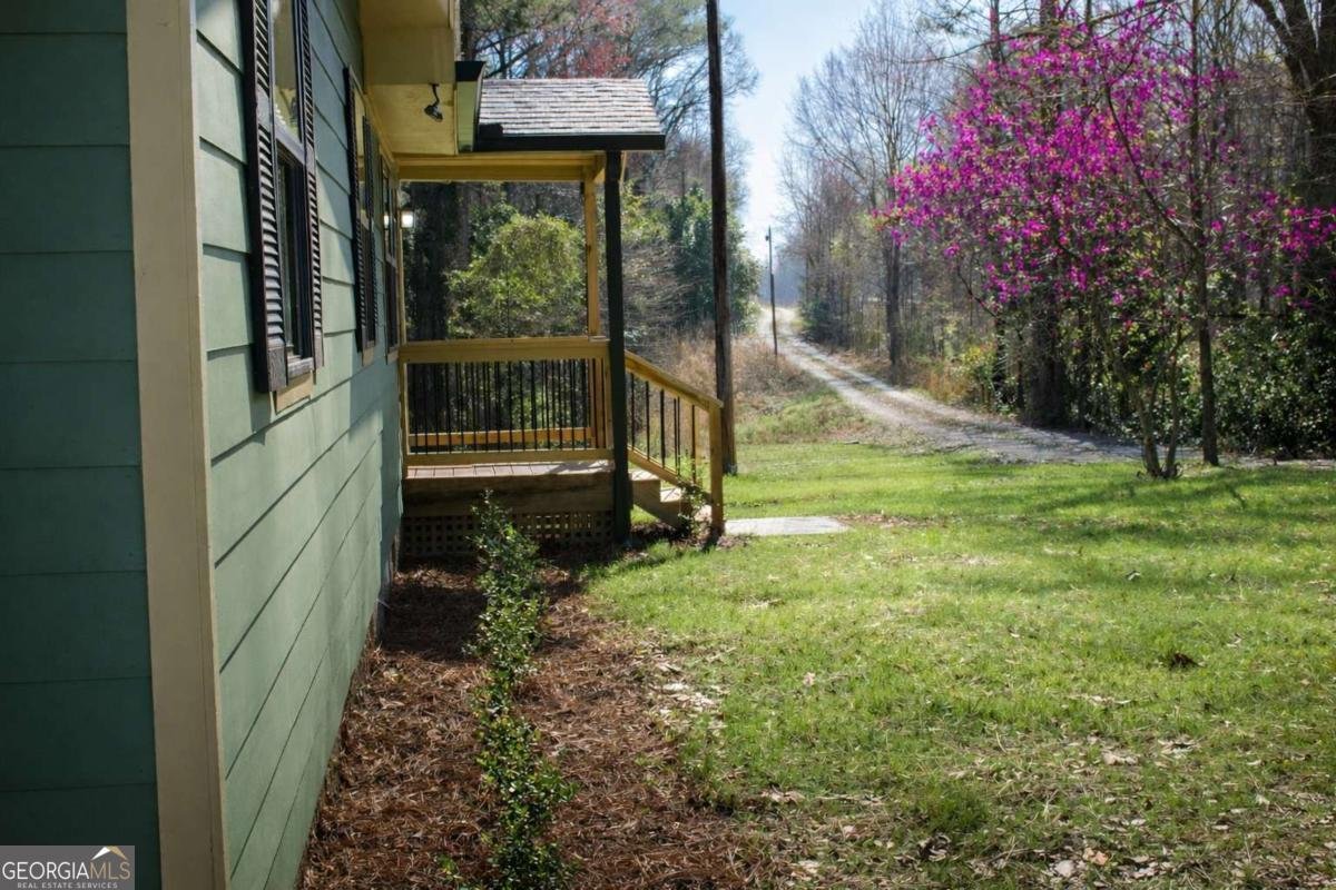 179 George Revell Street Senoia - Photo 31