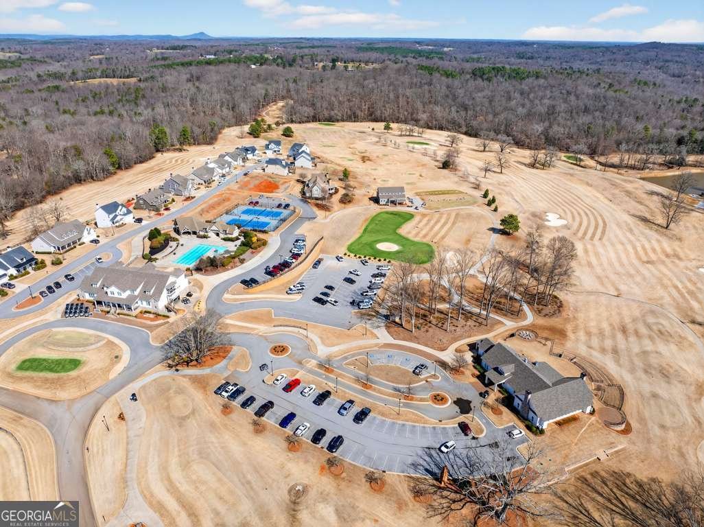 129 Preserve Lane Homer - Photo 59