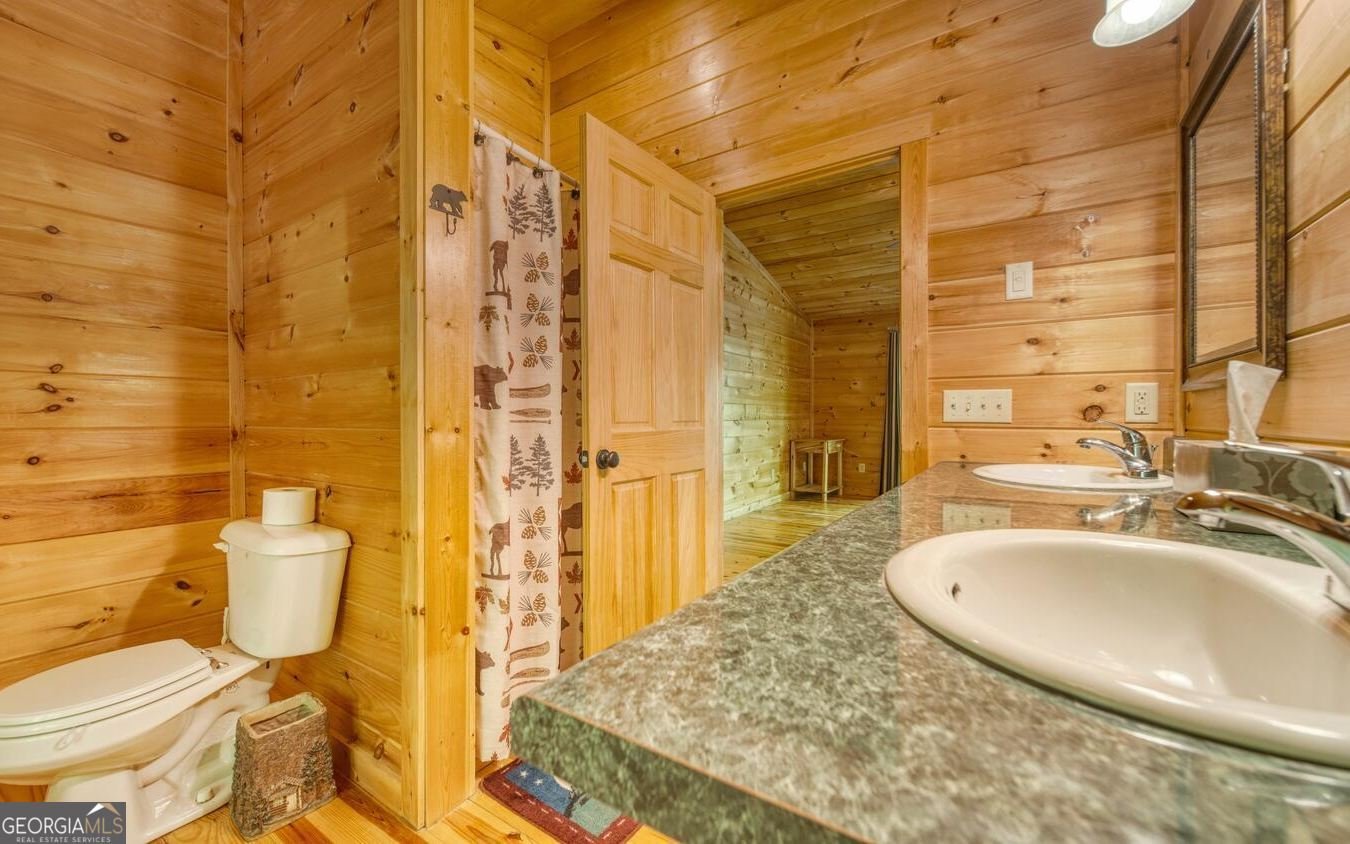 59 Wauneta Lane Young Harris - Photo 18