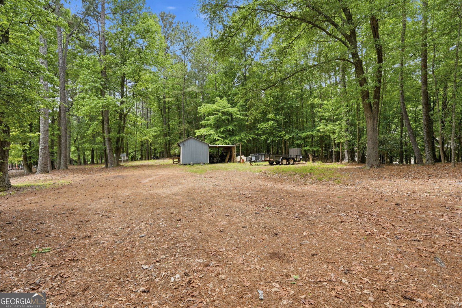 482 Buck Trail Hoschton - Photo 48