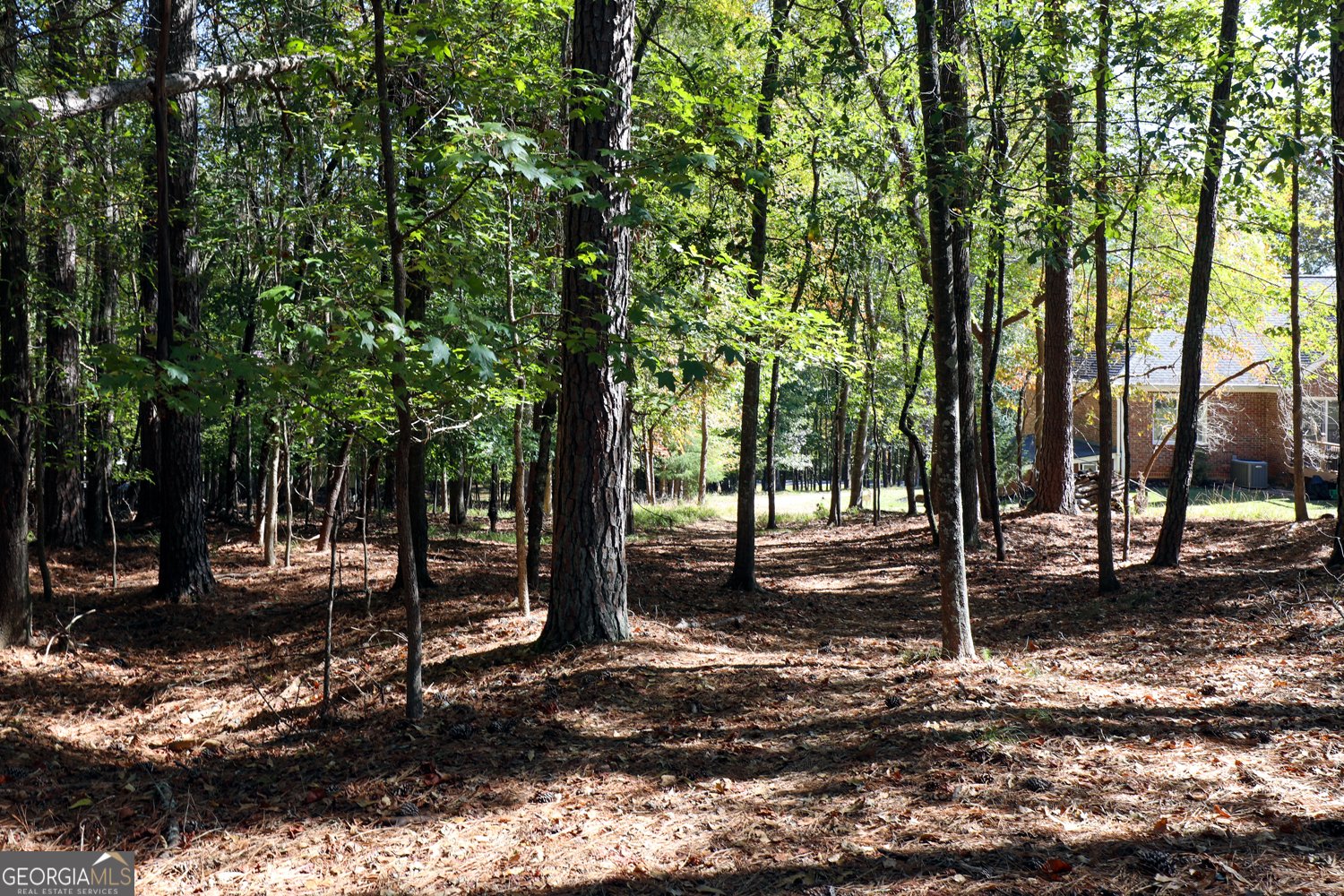 482 Buck Trail Hoschton - Photo 49