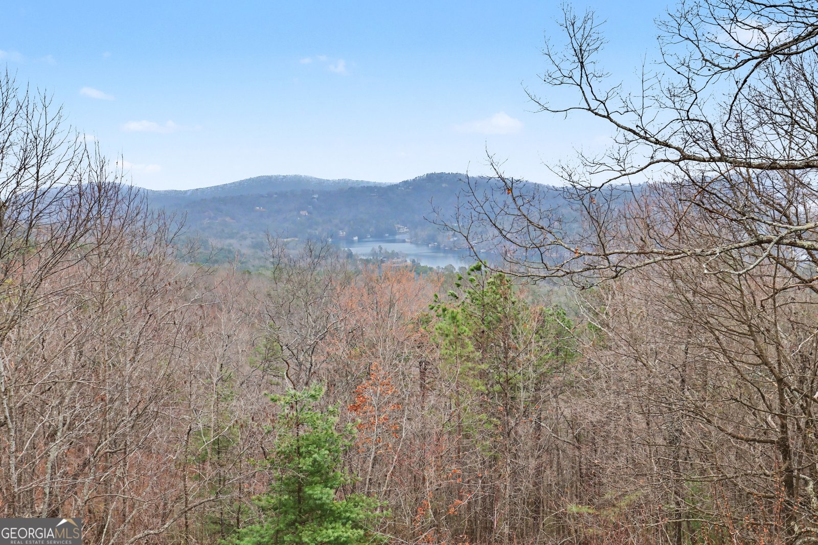 1039 Arbor Drive Lakemont - Photo 77