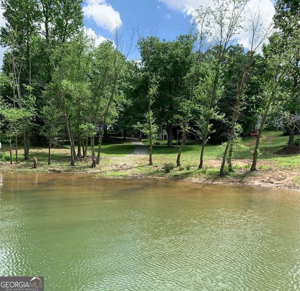 1250 Chapman Ford Road Blairsville - Photo 13