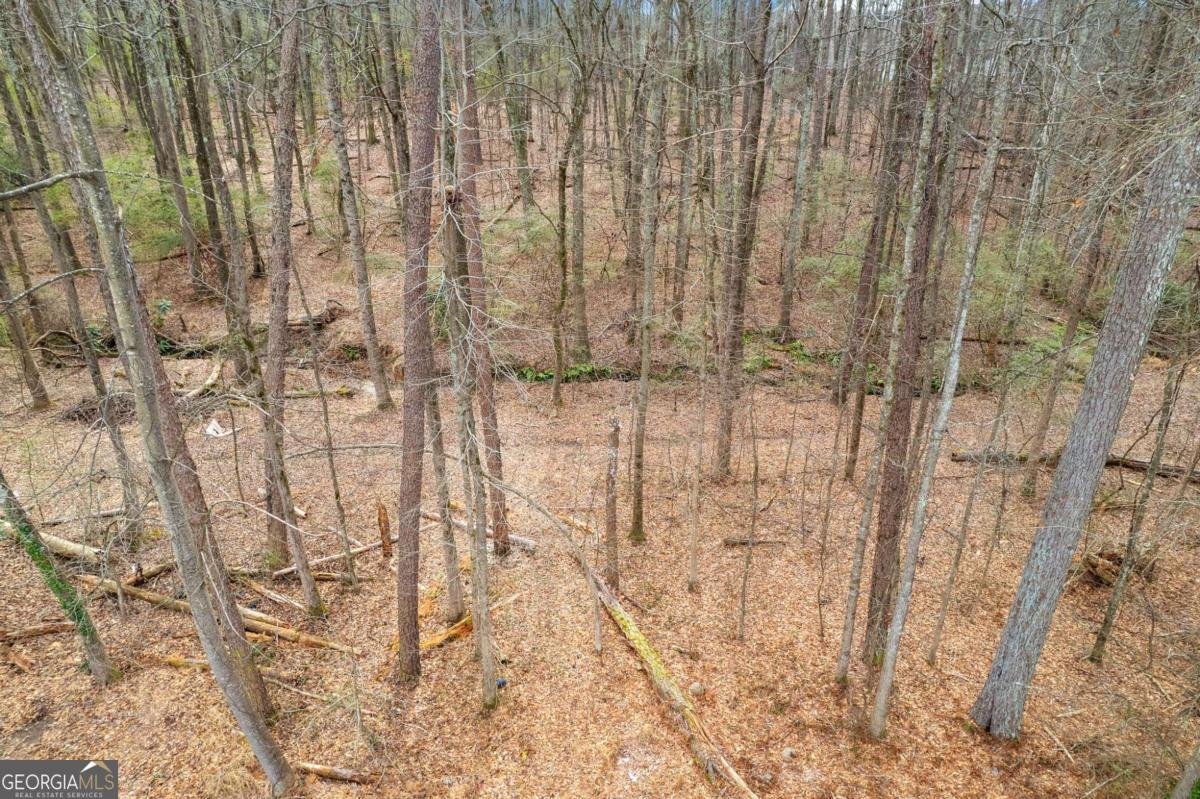 236 Hidden Court Winder - Photo 54