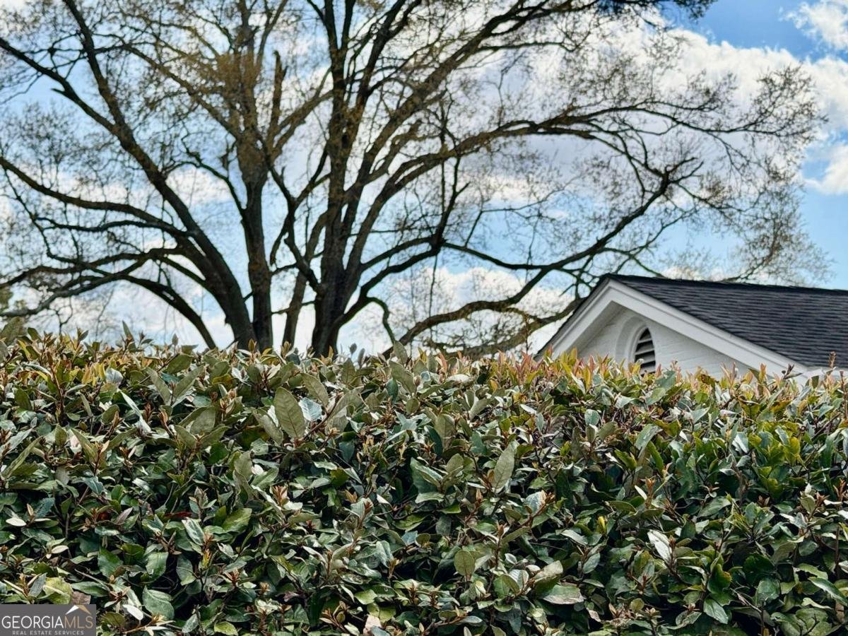 1206 Center Drive Vidalia - Photo 56