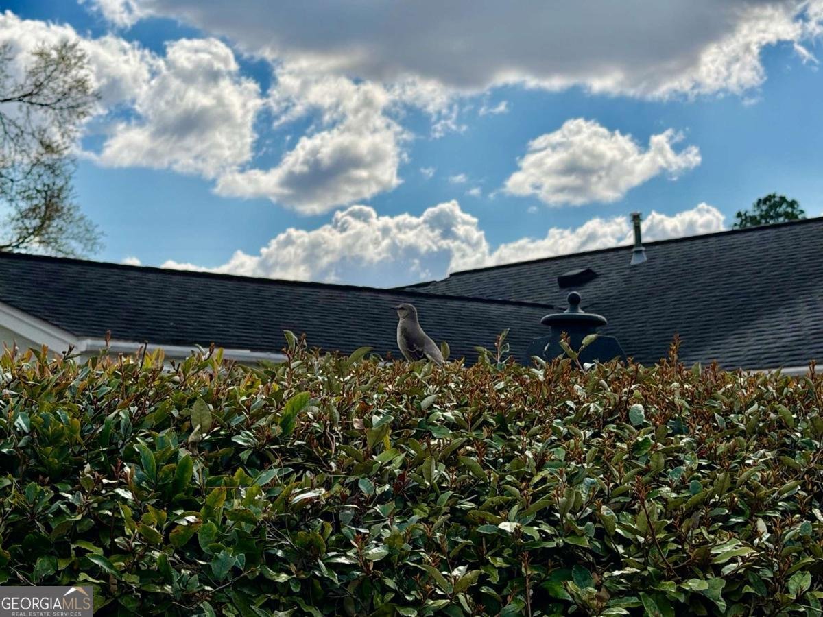 1206 Center Drive Vidalia - Photo 57