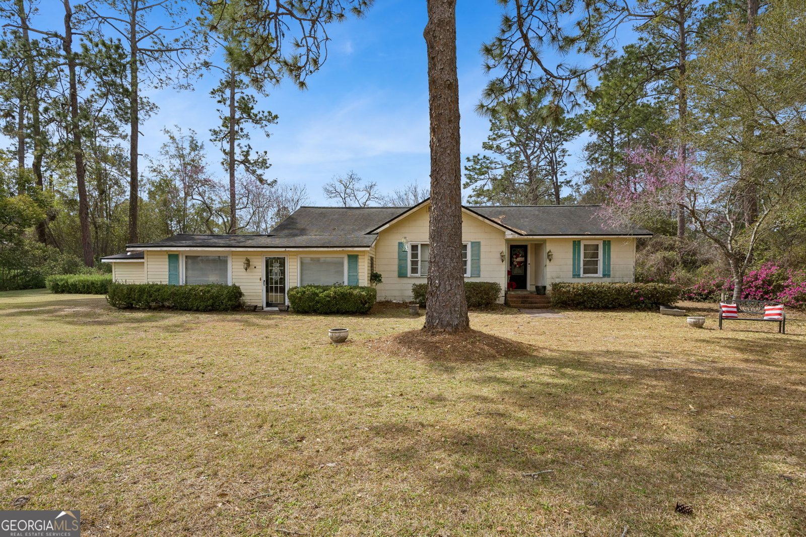 116 Pinckney Drive Folkston - Photo 1