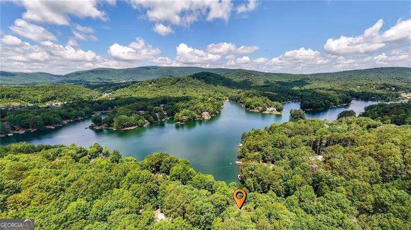 122 DOUGLAS FIR Drive Waleska - Photo 66