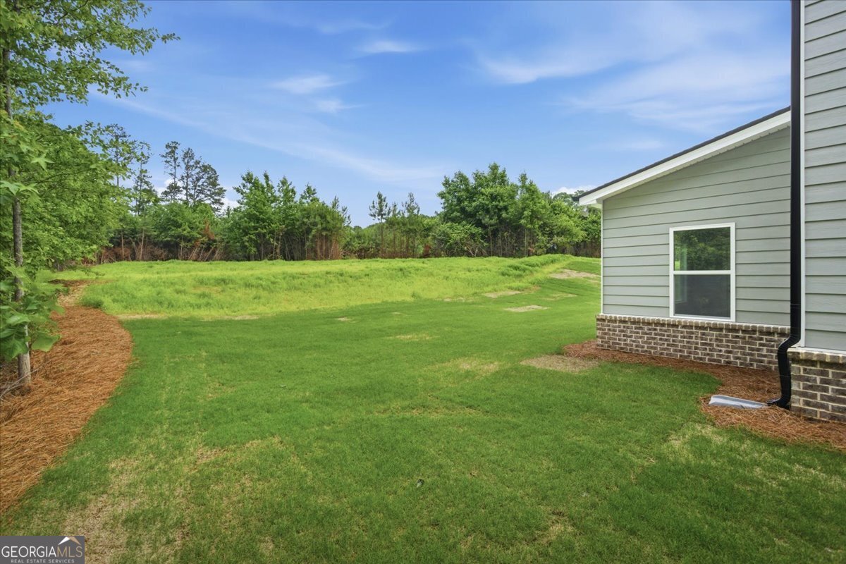 4609 Rex Road Stockbridge - Photo 28