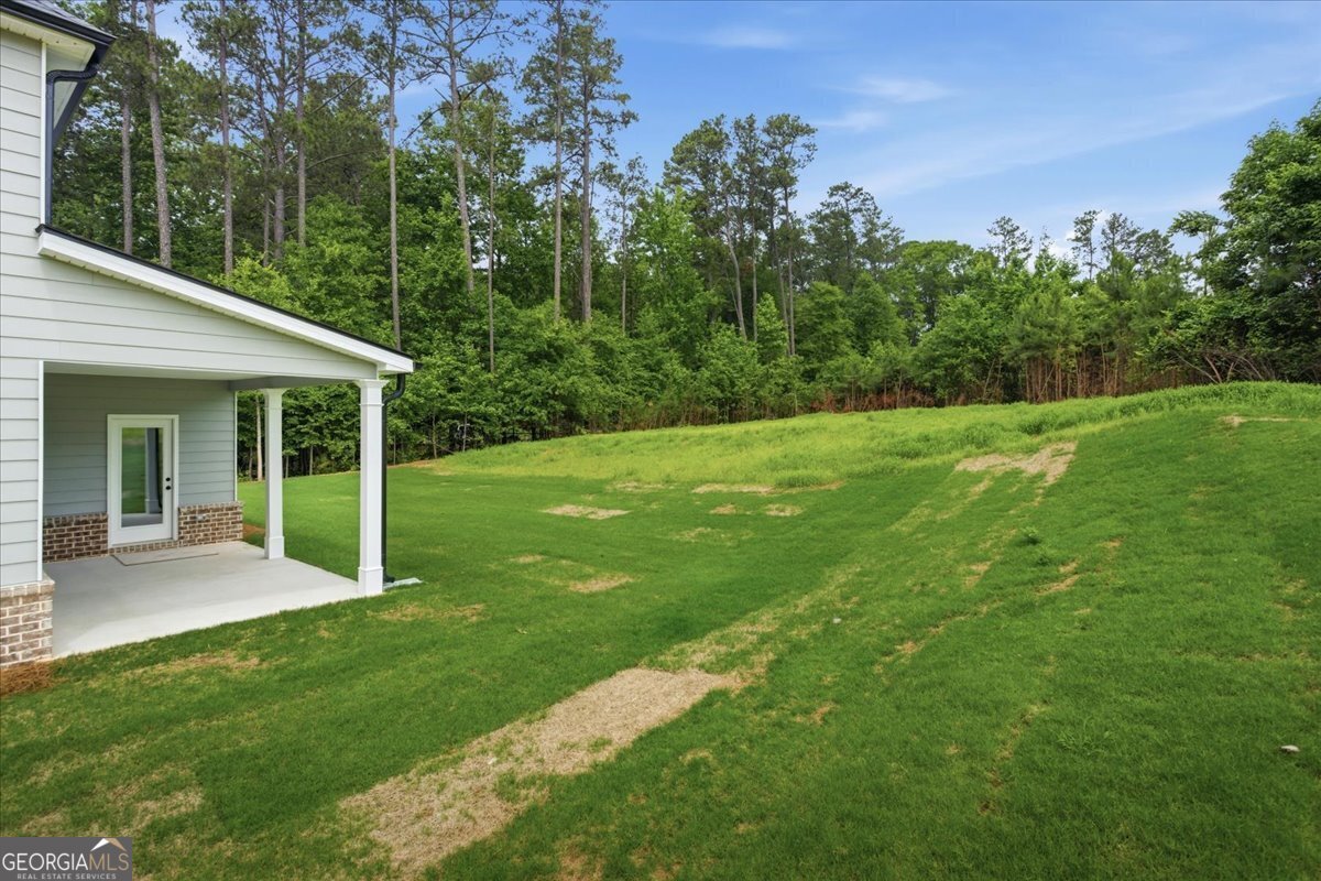 4609 Rex Road Stockbridge - Photo 33