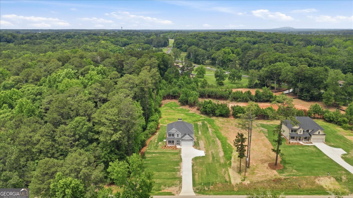 4609 Rex Road Stockbridge - Photo 34