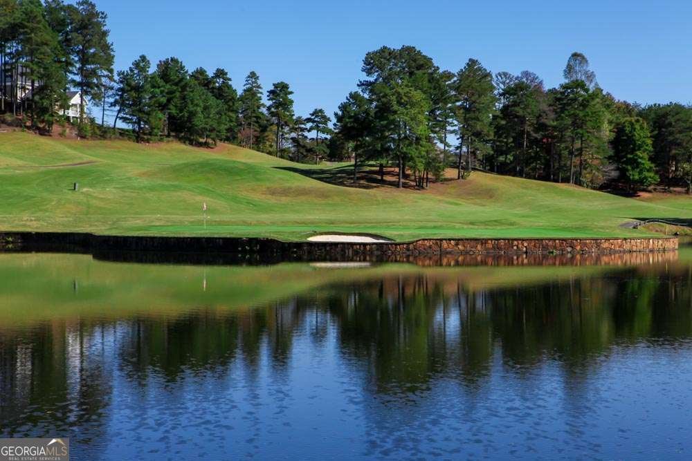 4610 Blakeford Court Flowery Branch - Photo 10