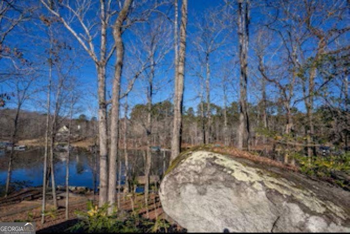 138 Winding River Road Eatonton - Photo 38