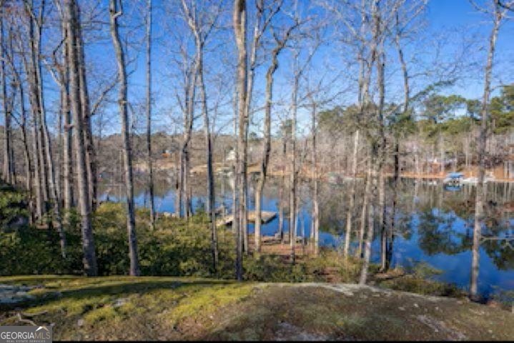 138 Winding River Road Eatonton - Photo 46