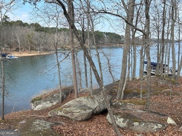 138 Winding River Road Eatonton - Photo 54