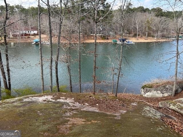 138 Winding River Road Eatonton - Photo 55