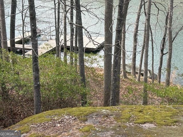 138 Winding River Road Eatonton - Photo 56