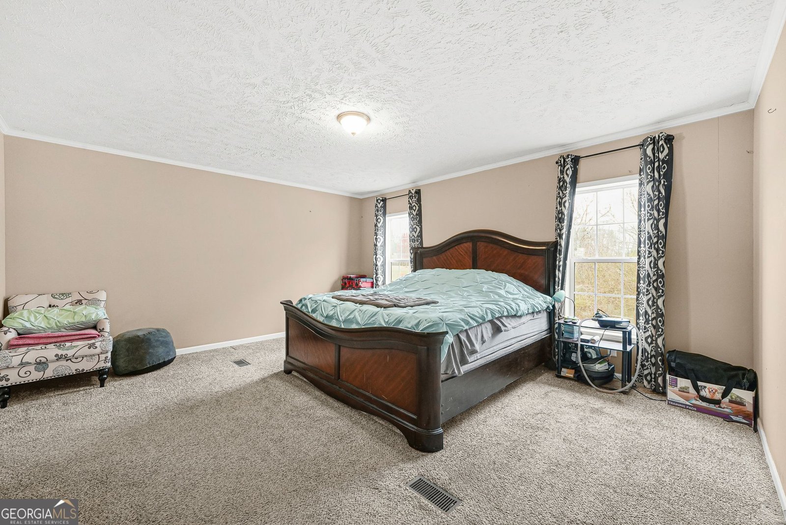 152 Duck Pond Road Roopville - Photo 14