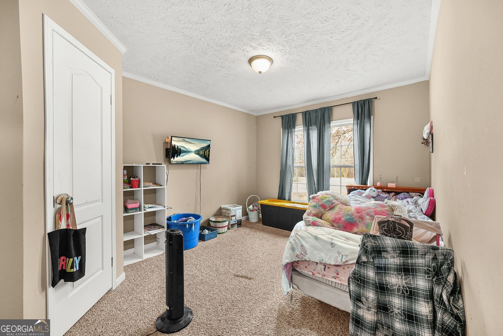 152 Duck Pond Road Roopville - Photo 25