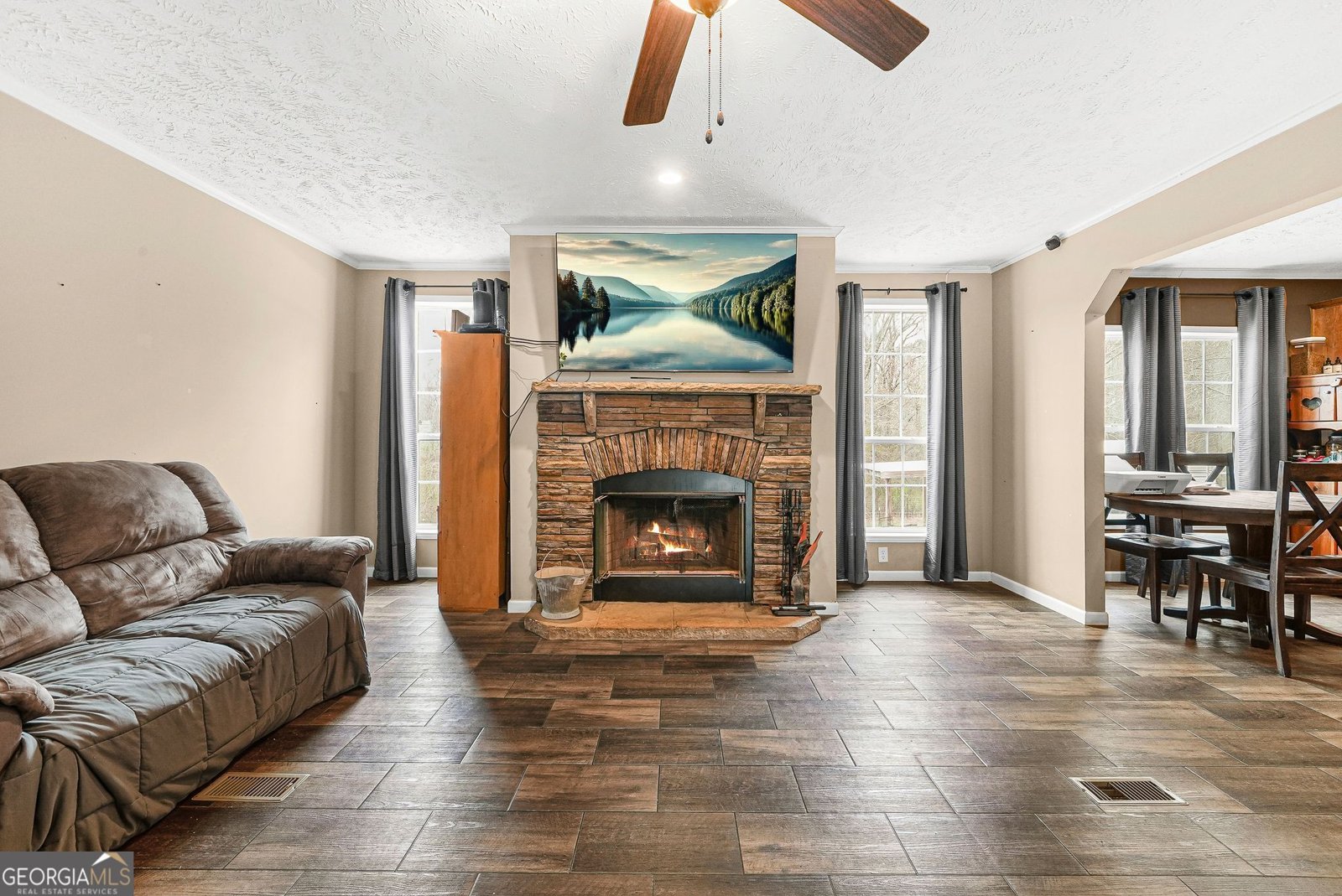 152 Duck Pond Road Roopville - Photo 6