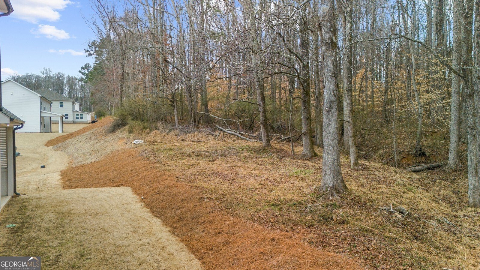 205 Carrington Point Canton - Photo 80