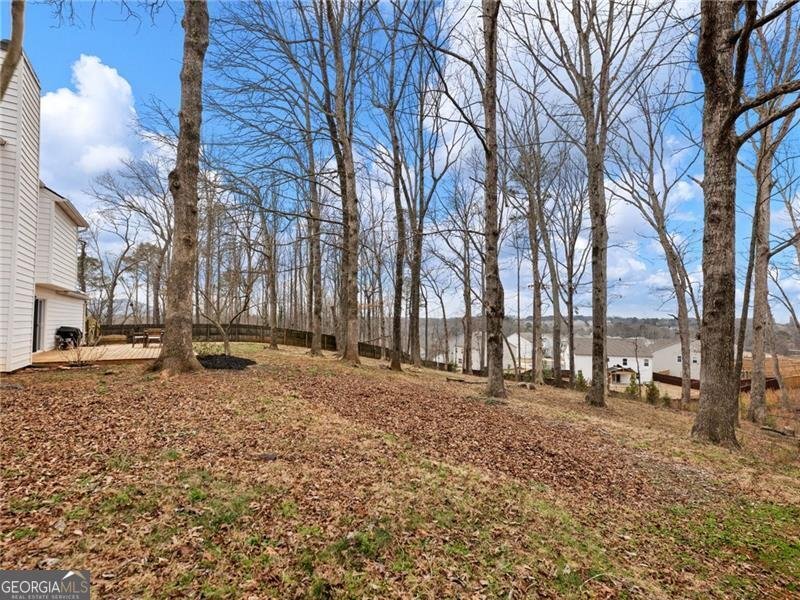 6640 Brittney Lane Cumming - Photo 49