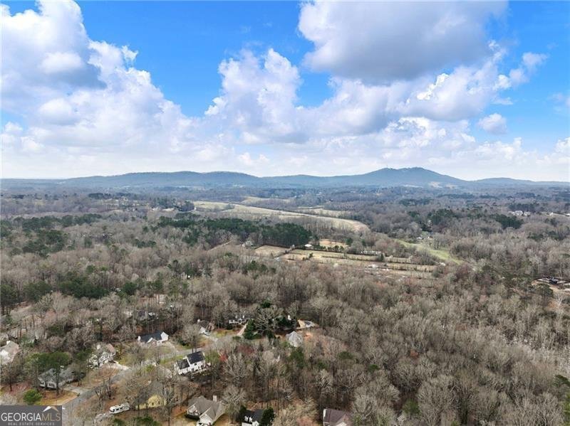 6640 Brittney Lane Cumming - Photo 51