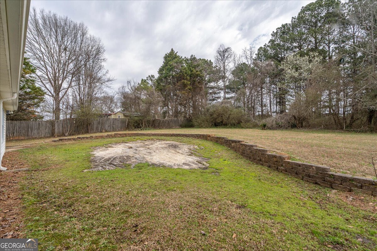 4314 Coastal Lane Loganville - Photo 48