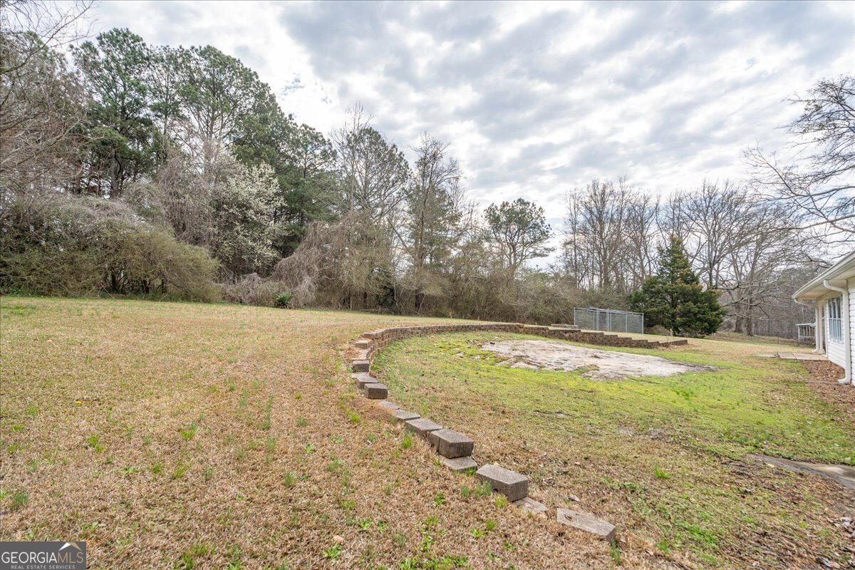 4314 Coastal Lane Loganville - Photo 59