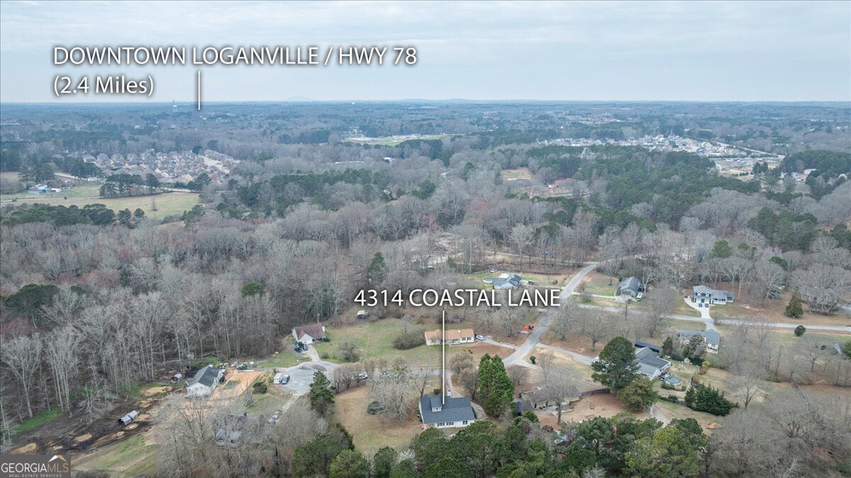4314 Coastal Lane Loganville - Photo 61