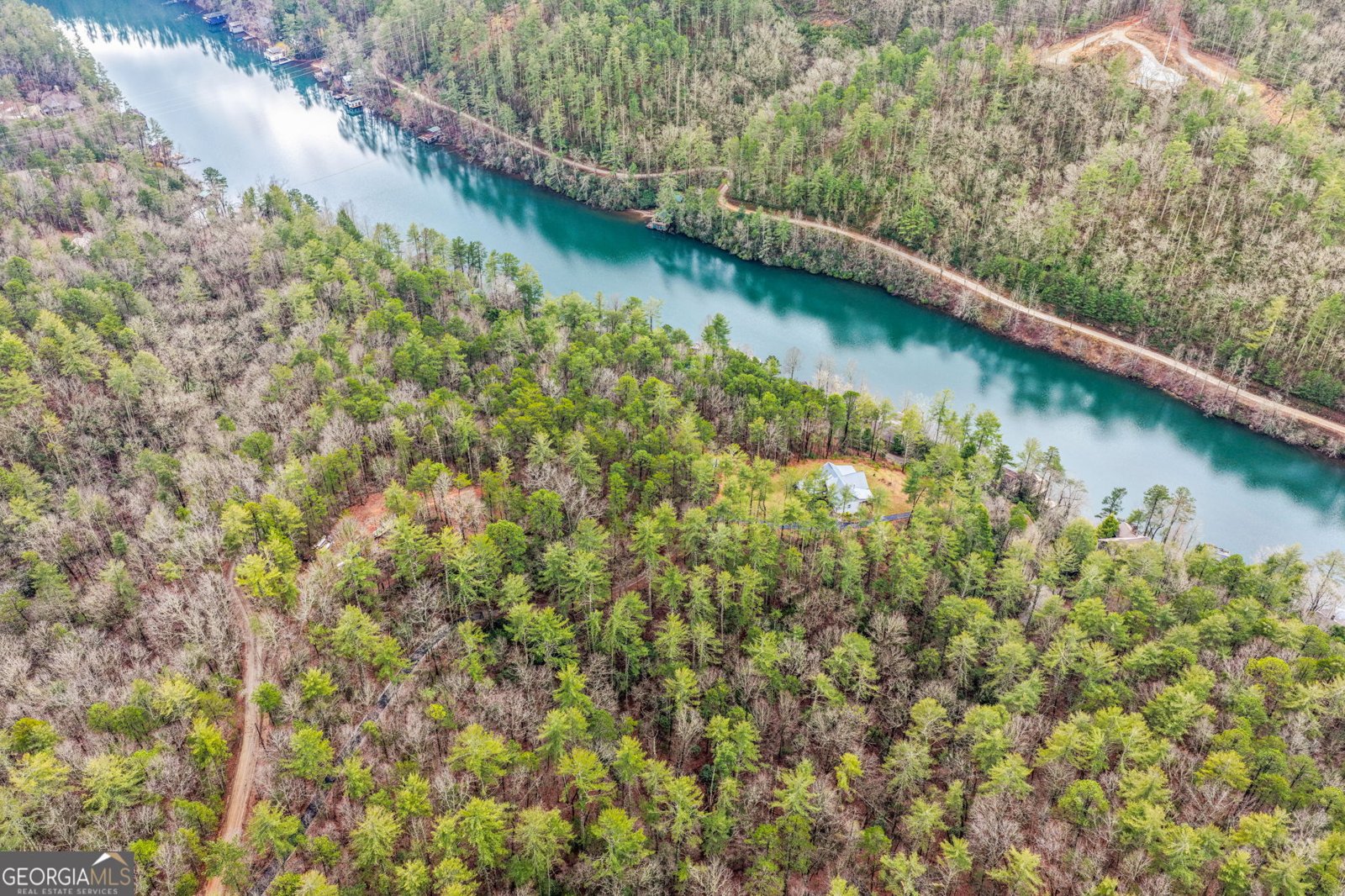 1233 Tame Turkey Road Lakemont - Photo 55