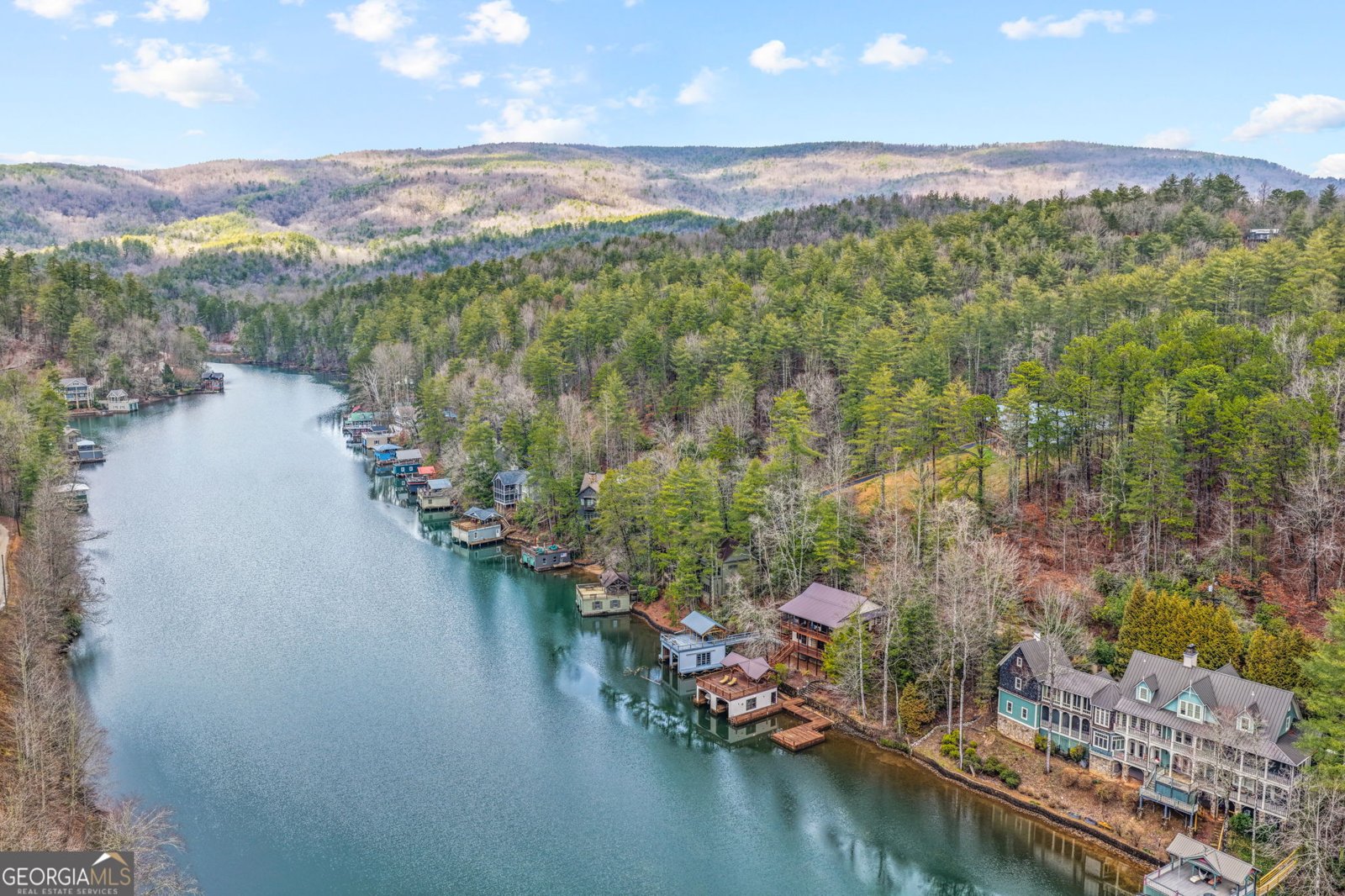 1233 Tame Turkey Road Lakemont - Photo 59