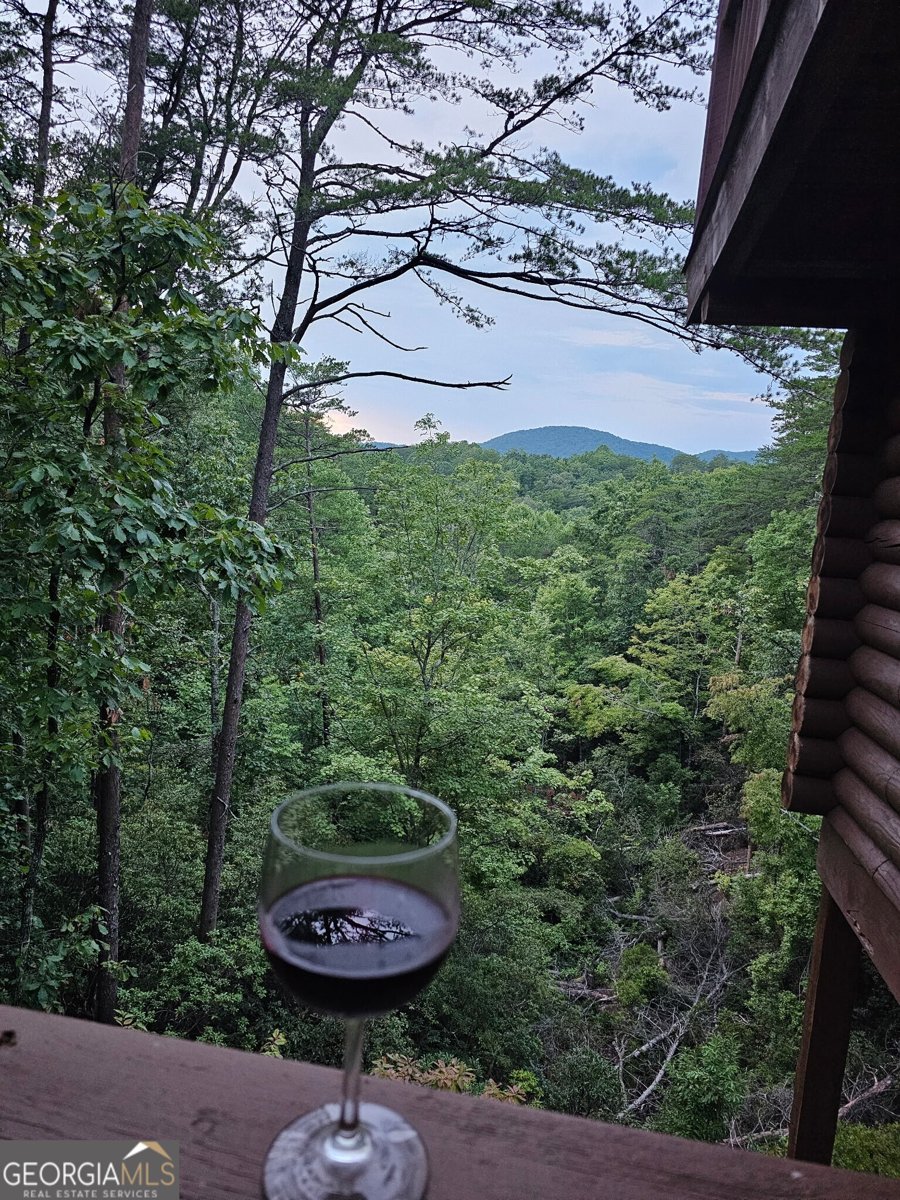 451 Pinecrest Sautee Nacoochee - Photo 64