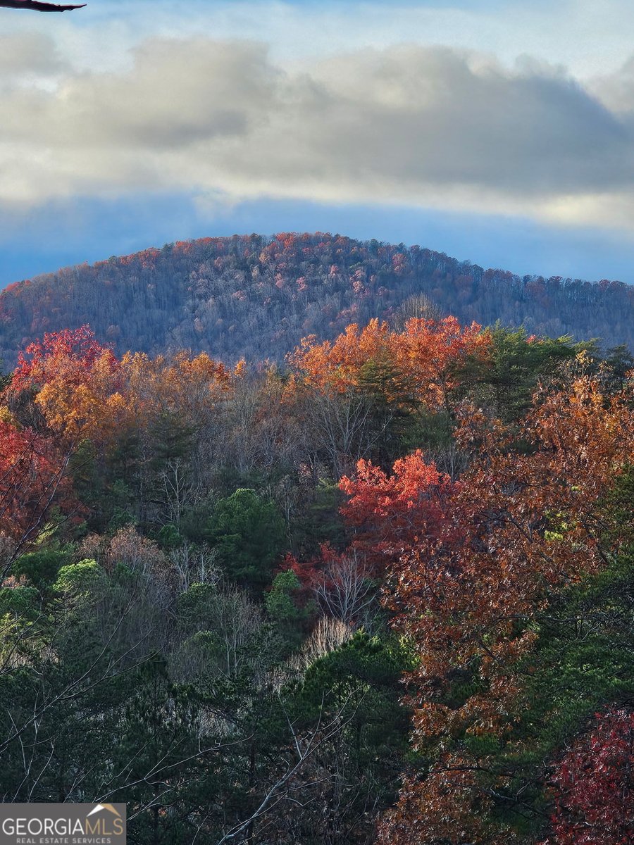 451 Pinecrest Sautee Nacoochee - Photo 65