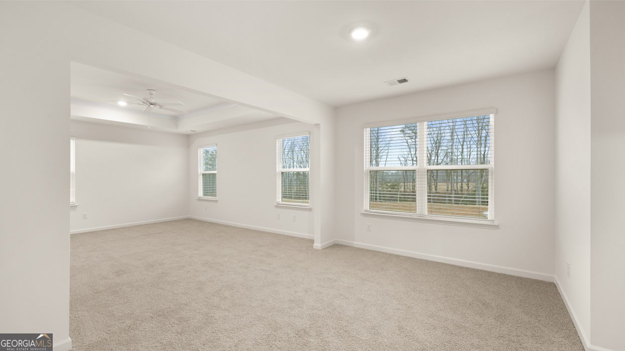 2887 Eucalyptus Road Loganville - Photo 17