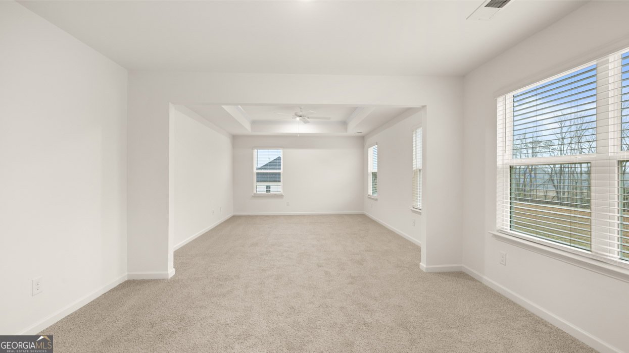 2887 Eucalyptus Road Loganville - Photo 18