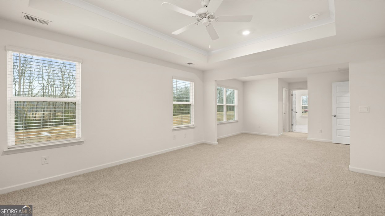 2887 Eucalyptus Road Loganville - Photo 20