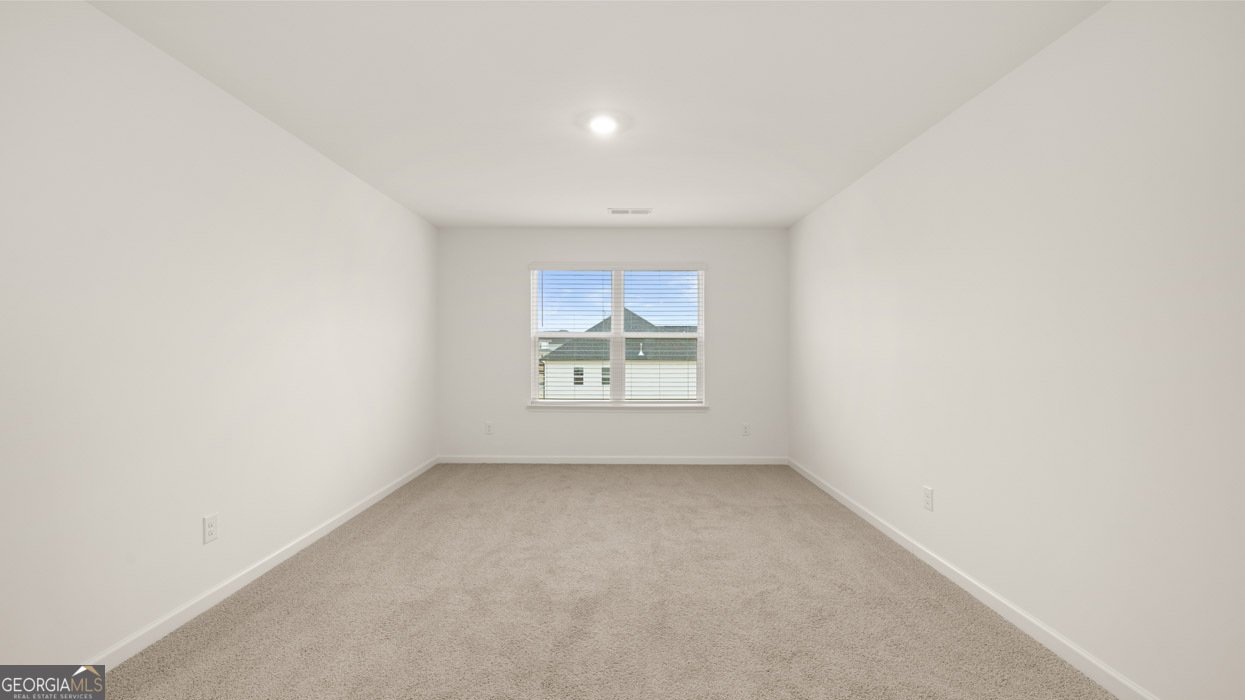 2887 Eucalyptus Road Loganville - Photo 33