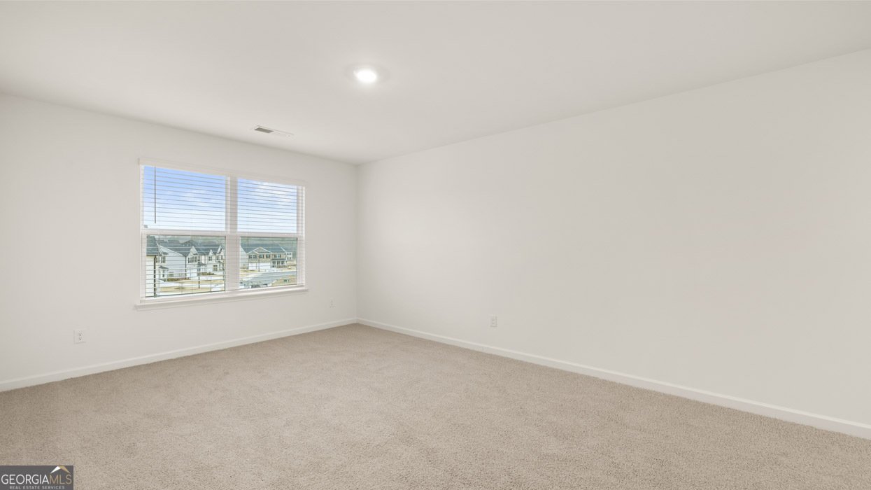 2887 Eucalyptus Road Loganville - Photo 34