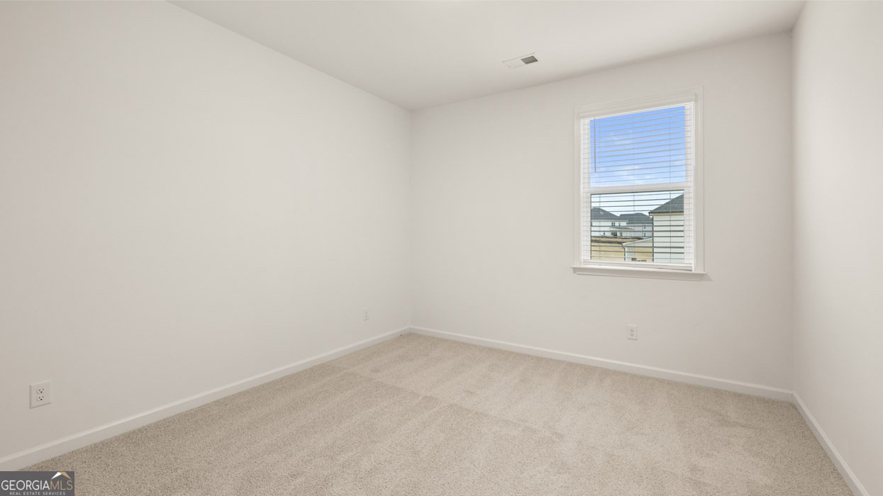 2887 Eucalyptus Road Loganville - Photo 36