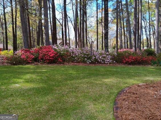 3970 Governors Circle Loganville - Photo 75