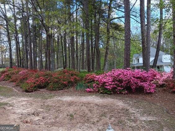 3970 Governors Circle Loganville - Photo 76