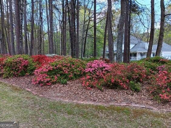 3970 Governors Circle Loganville - Photo 80