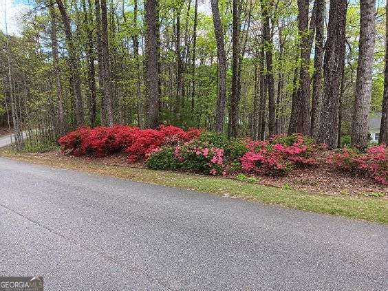 3970 Governors Circle Loganville - Photo 82