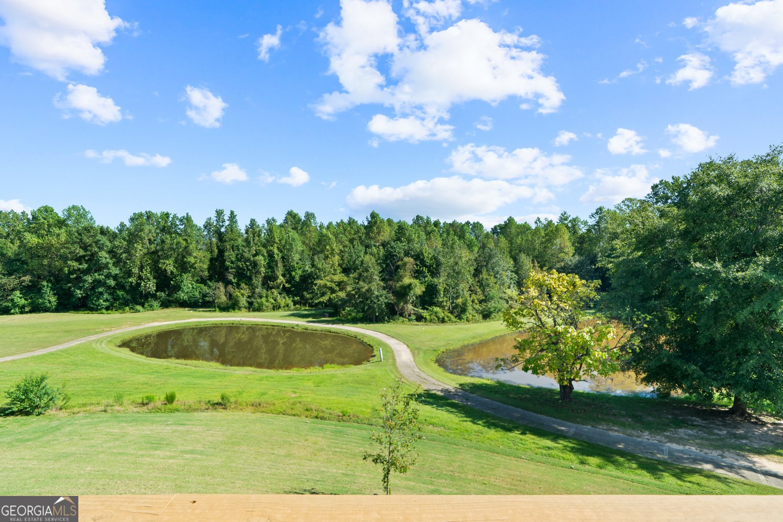 620 Britton Way Macon - Photo 46