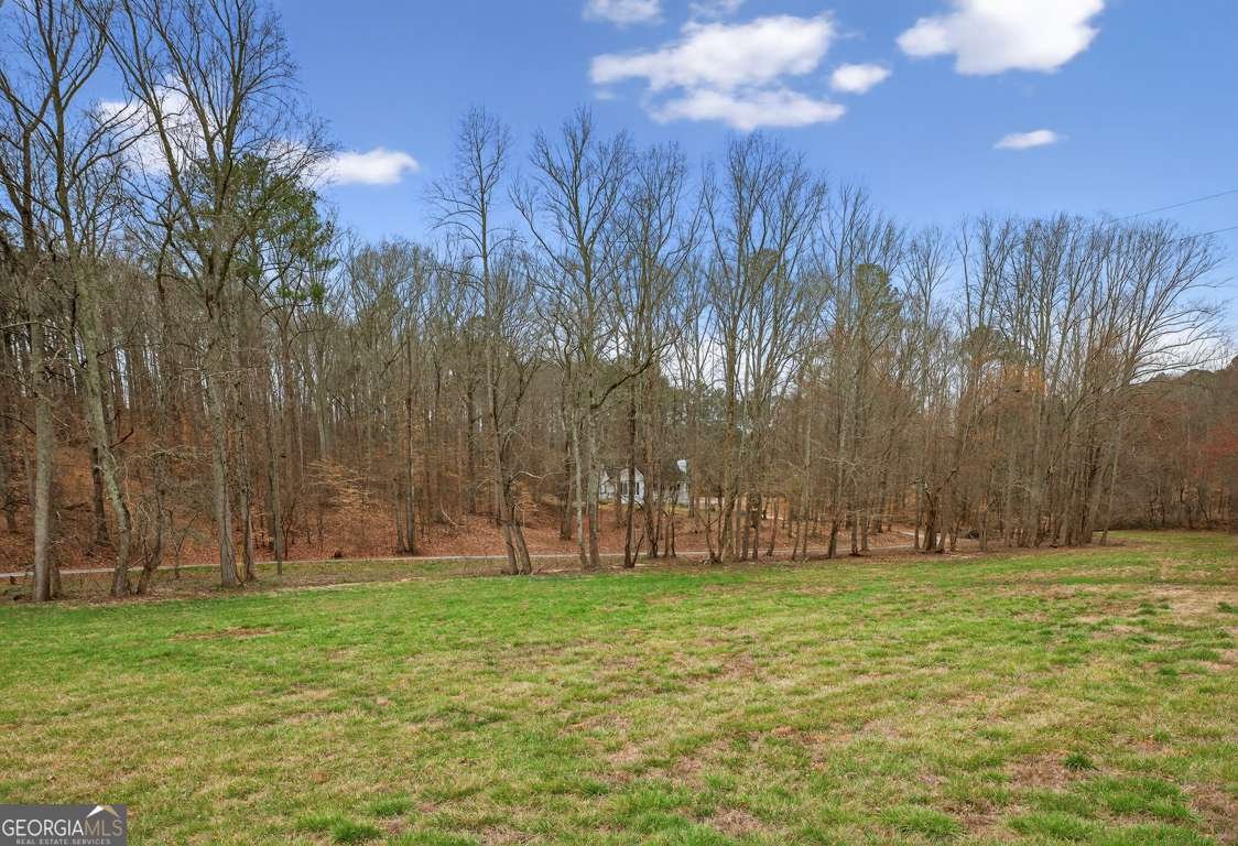 1020 Lower Union Hill Road Canton - Photo 56