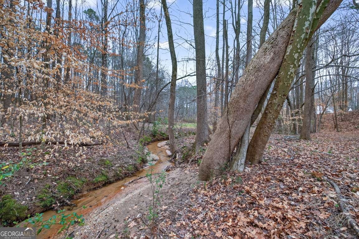 1020 Lower Union Hill Road Canton - Photo 59